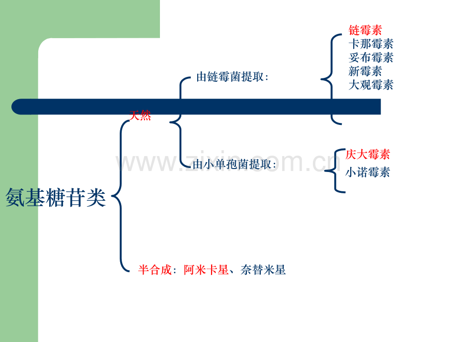 抗生素氨基糖苷类四环素类抗生素.ppt_第3页