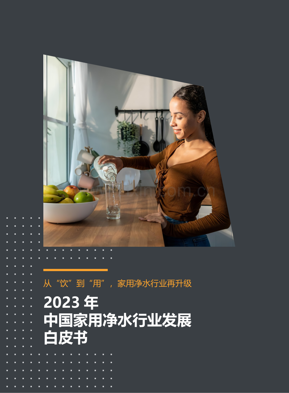 2023 年中国家用净水行业发展白皮书.pdf_第1页