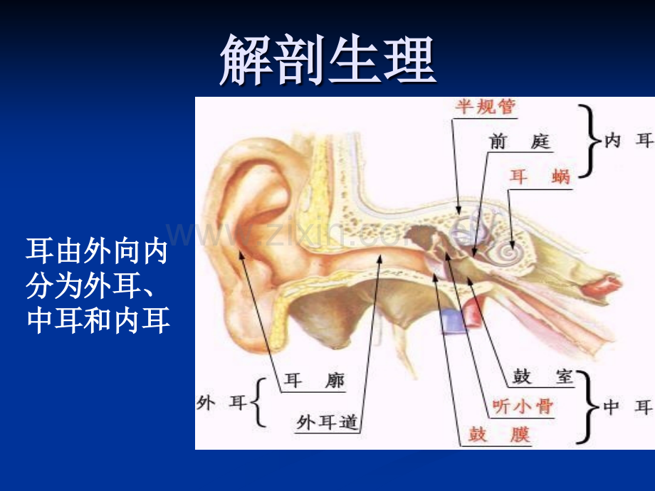 慢性中耳炎ppt课件.ppt_第3页