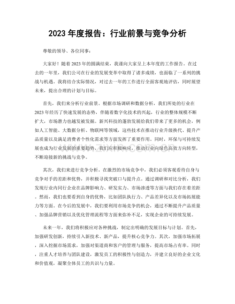 2023年度报告：行业前景与竞争分析.docx_第1页