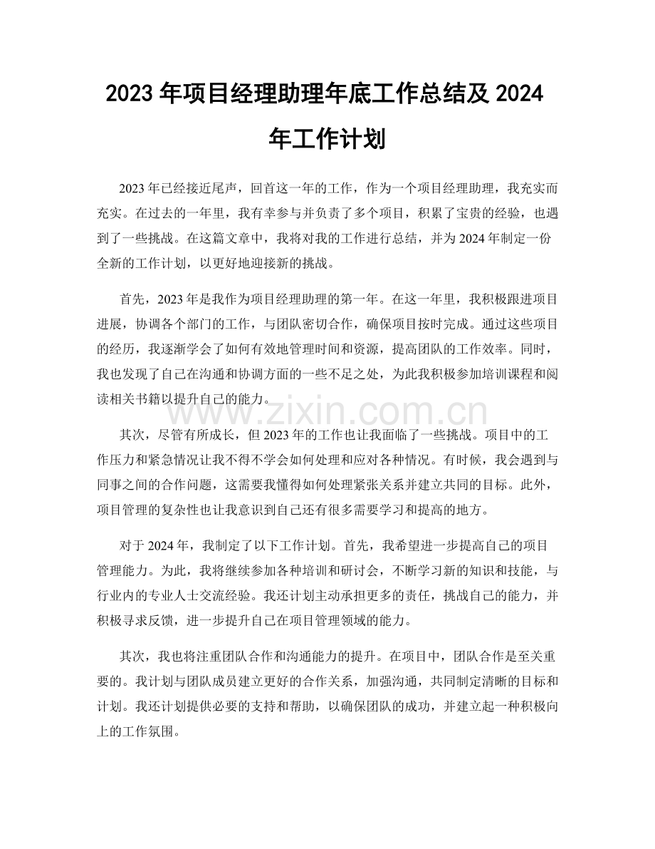 2023年项目经理助理年底工作总结及2024年工作计划.docx_第1页