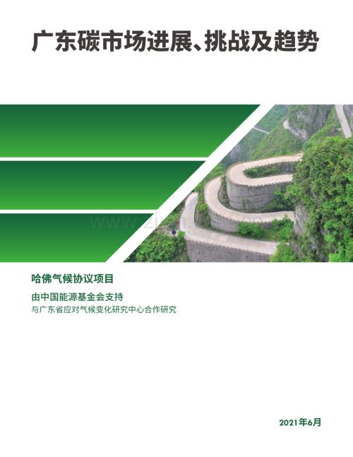 广东碳市场进展-挑战及趋势.pdf