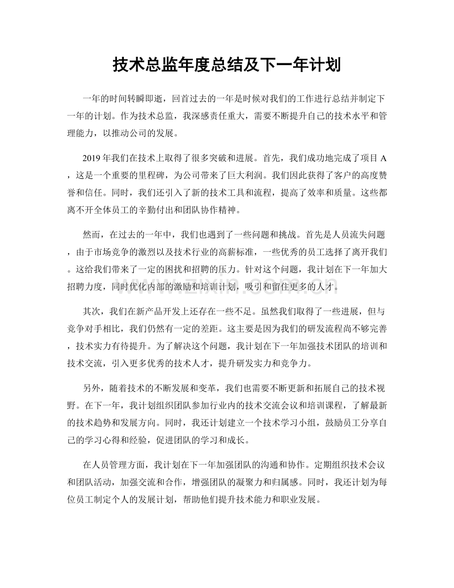 技术总监年度总结及下一年计划.docx_第1页