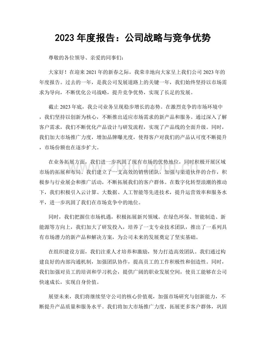 2023年度报告：公司战略与竞争优势.docx_第1页