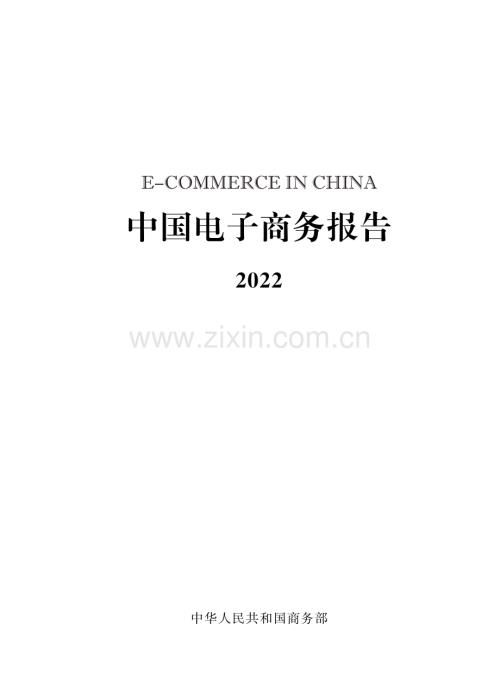 2022年中国电子商务报告.pdf