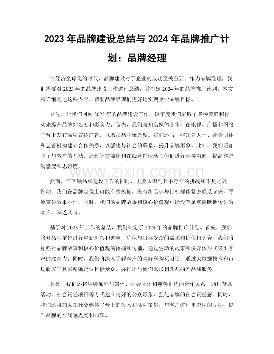 2023年品牌建设总结与2024年品牌推广计划：品牌经理.docx_第1页