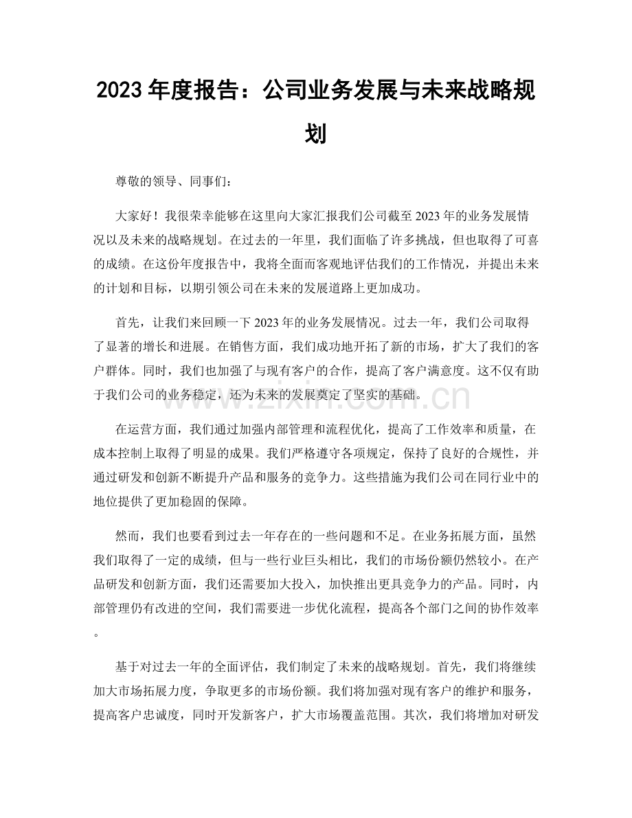 2023年度报告：公司业务发展与未来战略规划.docx_第1页