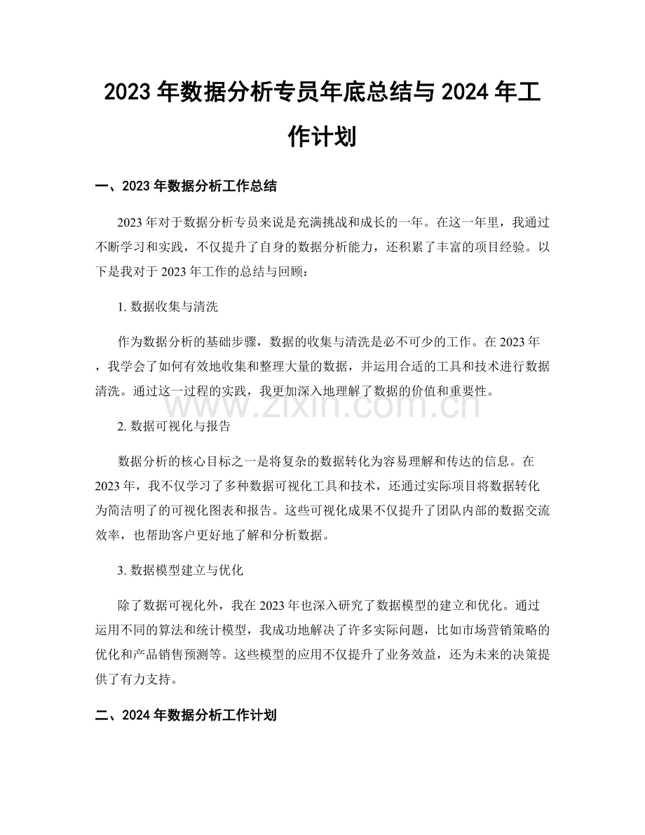 2023年数据分析专员年底总结与2024年工作计划.docx_第1页