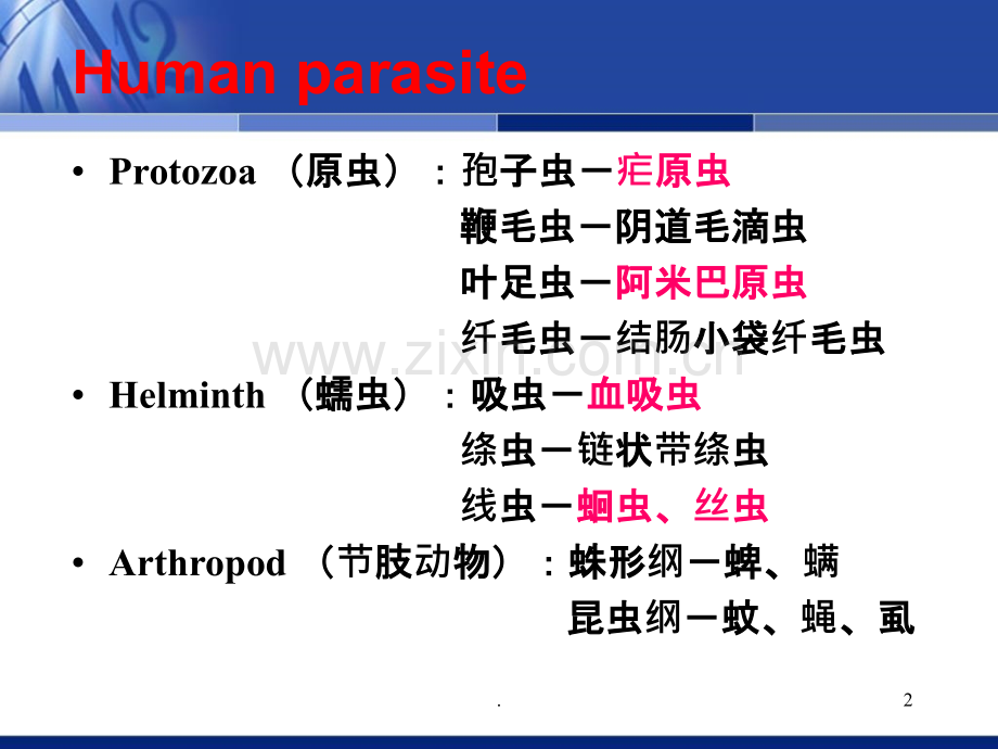 抗寄生虫药Antiparasitedrugs——方三华.ppt_第2页