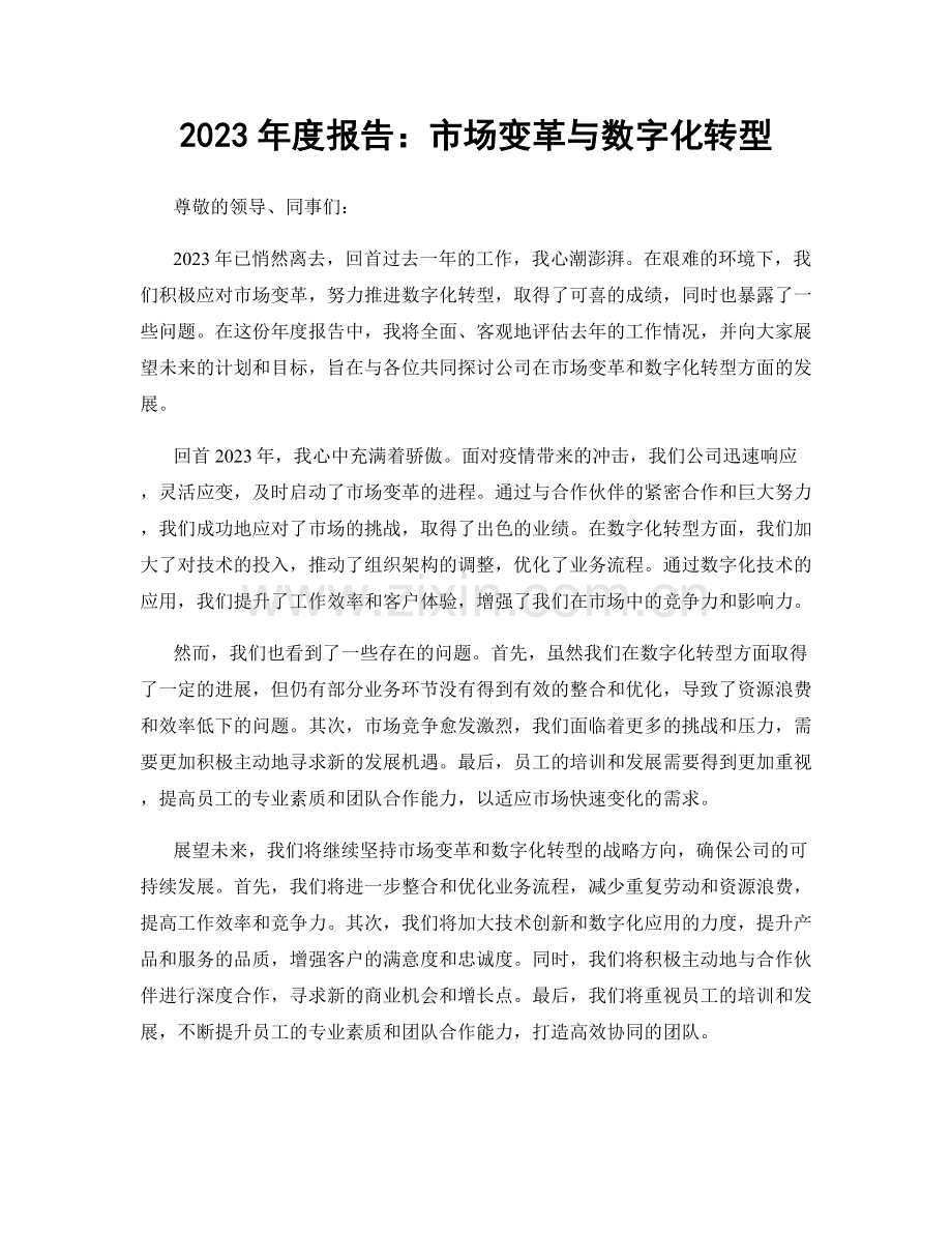 2023年度报告：市场变革与数字化转型.docx_第1页