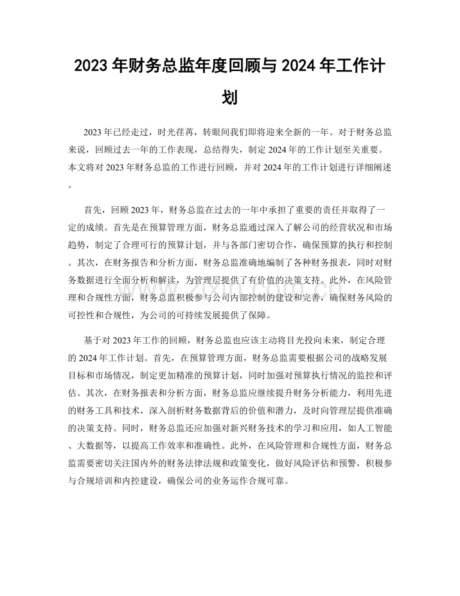 2023年财务总监年度回顾与2024年工作计划.docx_第1页