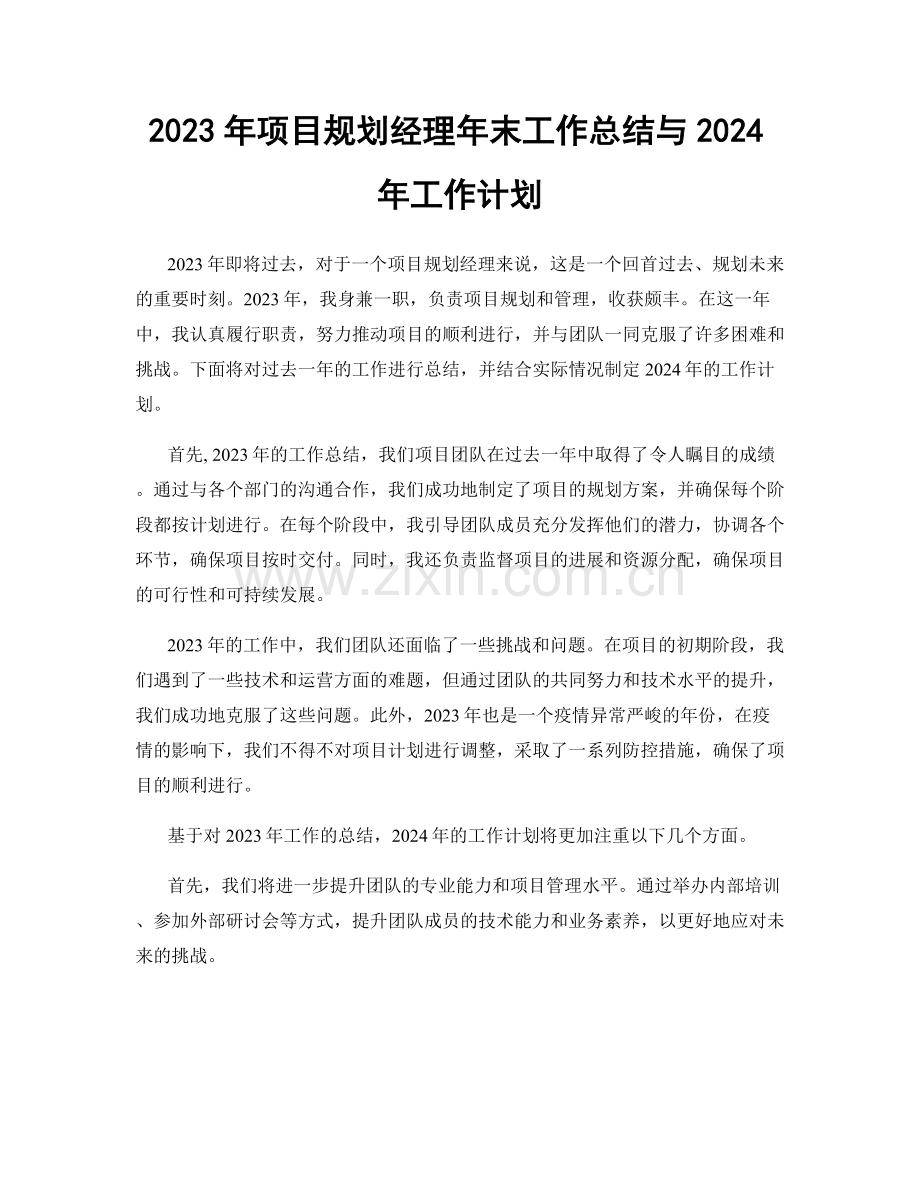 2023年项目规划经理年末工作总结与2024年工作计划.docx_第1页