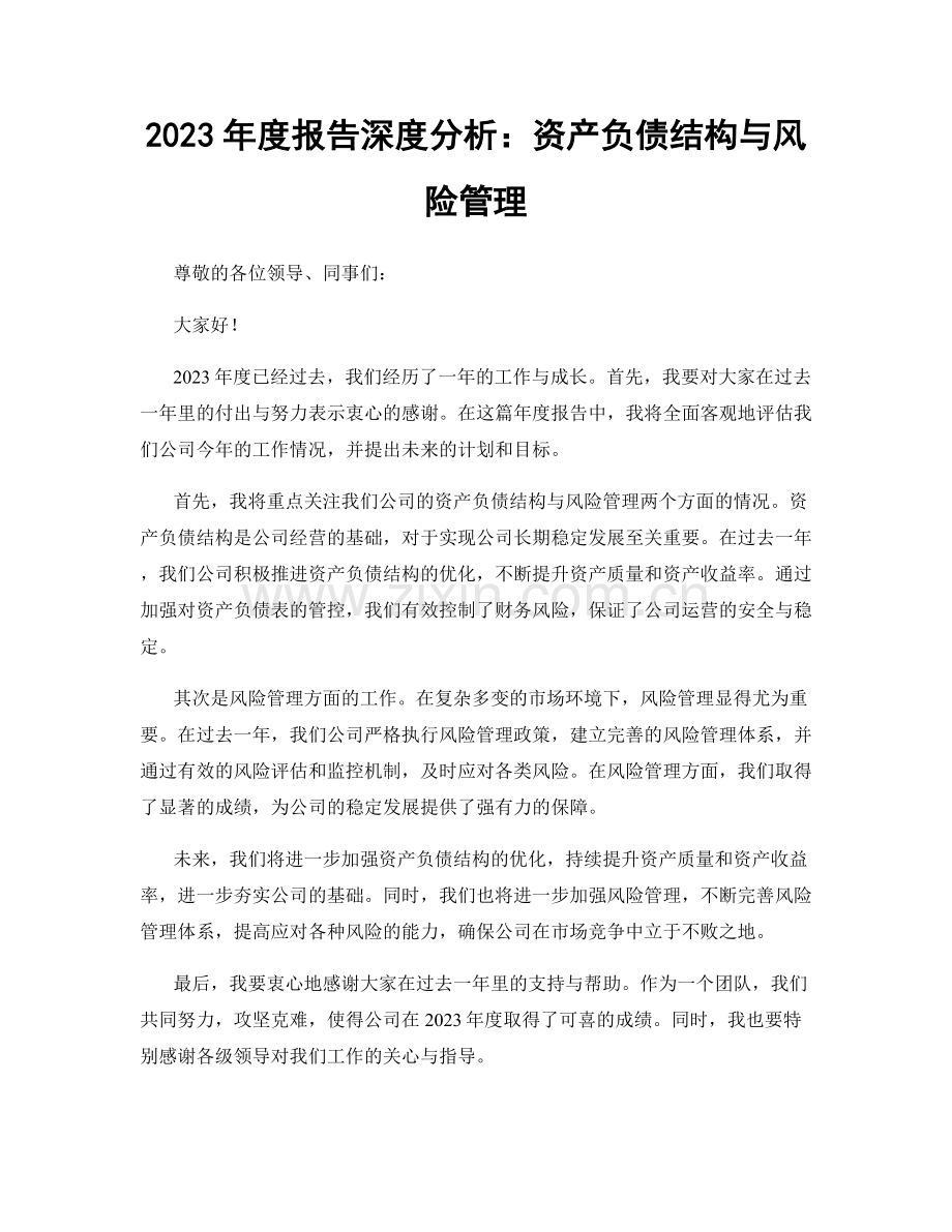 2023年度报告深度分析：资产负债结构与风险管理.docx_第1页