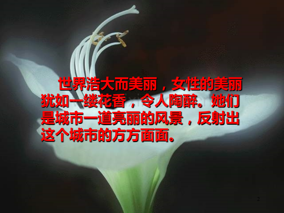 女人节快乐——女人如何保健.ppt_第2页