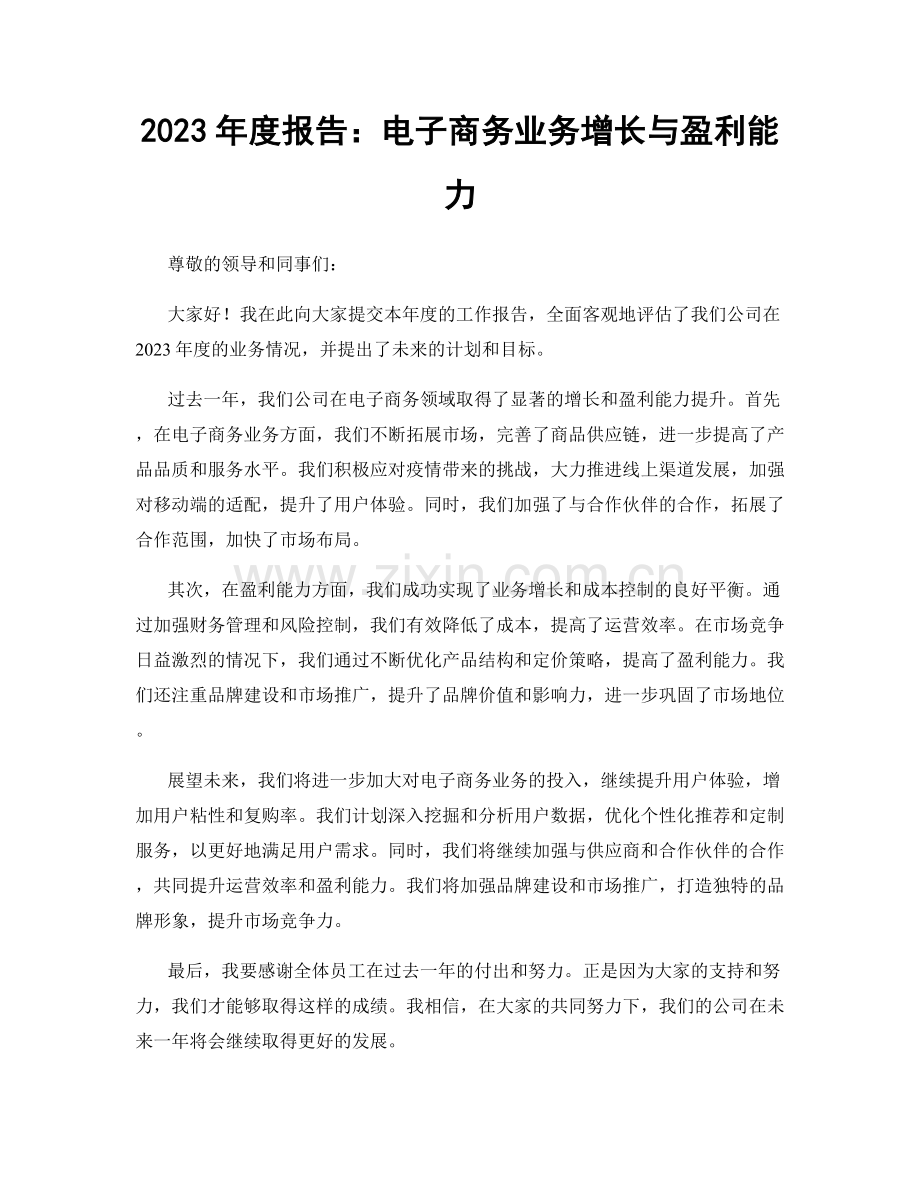 2023年度报告：电子商务业务增长与盈利能力.docx_第1页