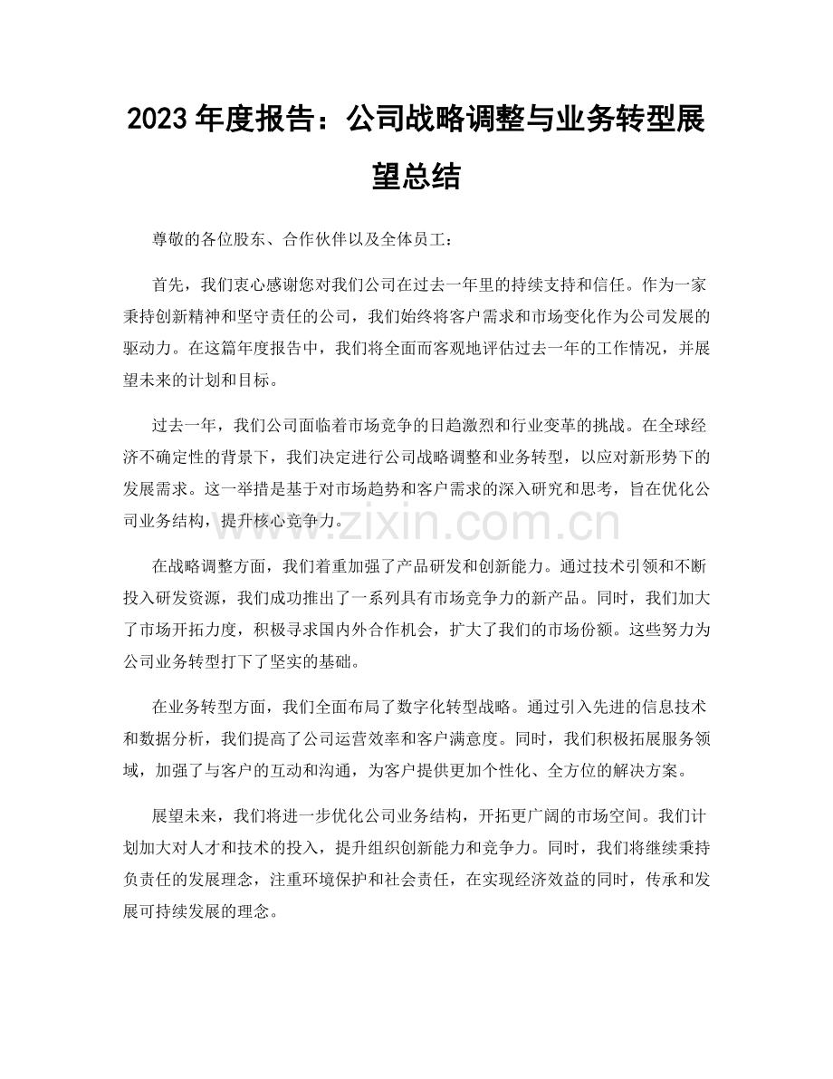 2023年度报告：公司战略调整与业务转型展望总结.docx_第1页