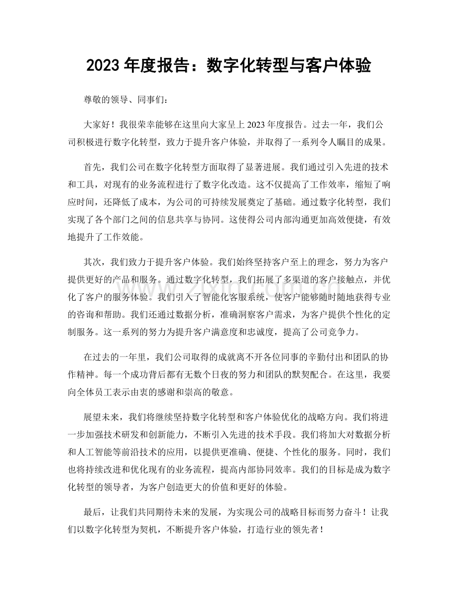 2023年度报告：数字化转型与客户体验.docx_第1页