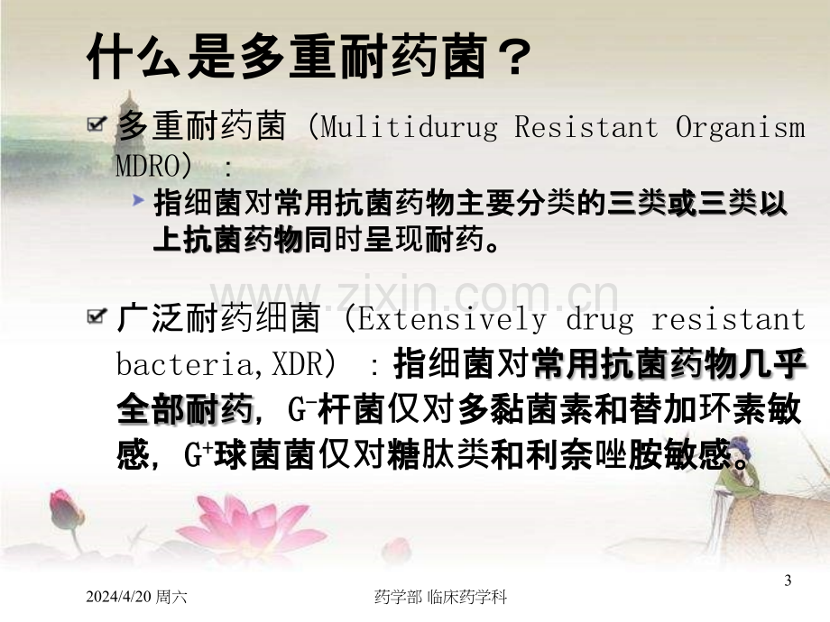 常见多重耐药菌感染的预防与诊治.ppt_第3页