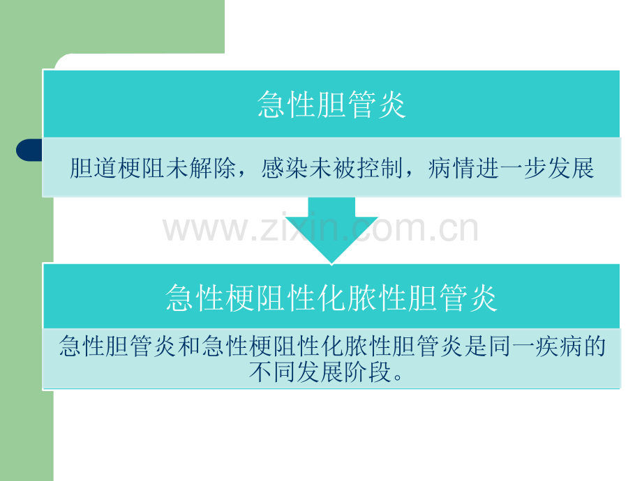 急性梗阻性化脓性胆管炎.ppt_第3页