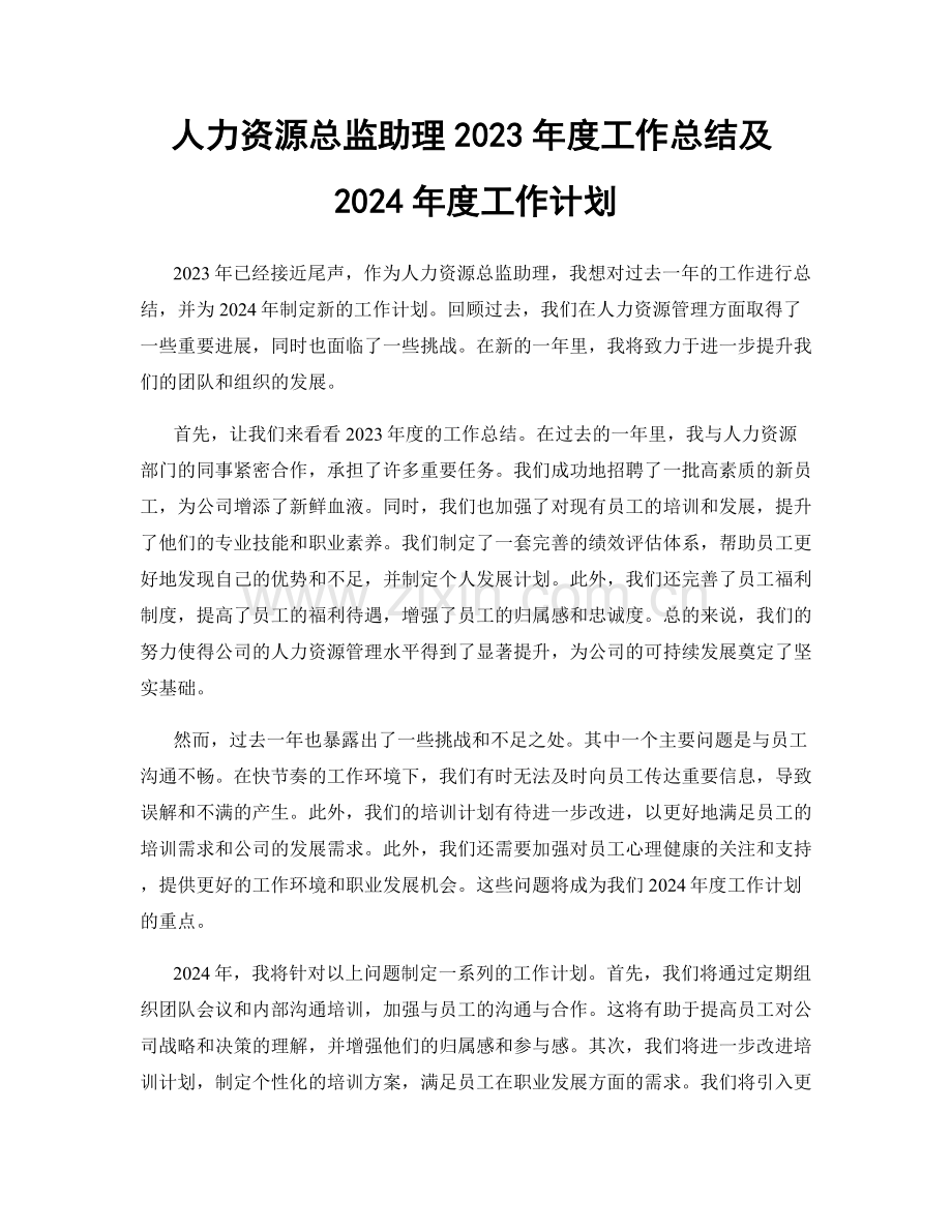 人力资源总监助理2023年度工作总结及2024年度工作计划.docx_第1页