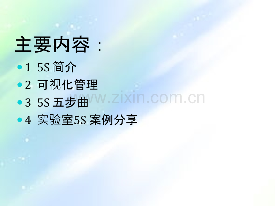 实验室5S管理.ppt_第2页