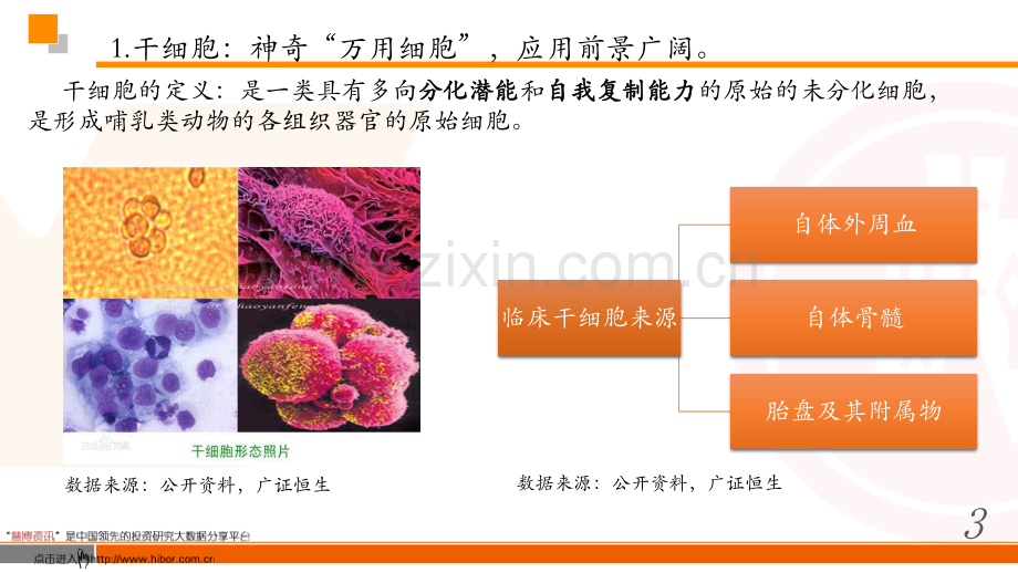 干细胞行业：神奇的“万用细胞”巨大的市场潜力.pdf_第3页