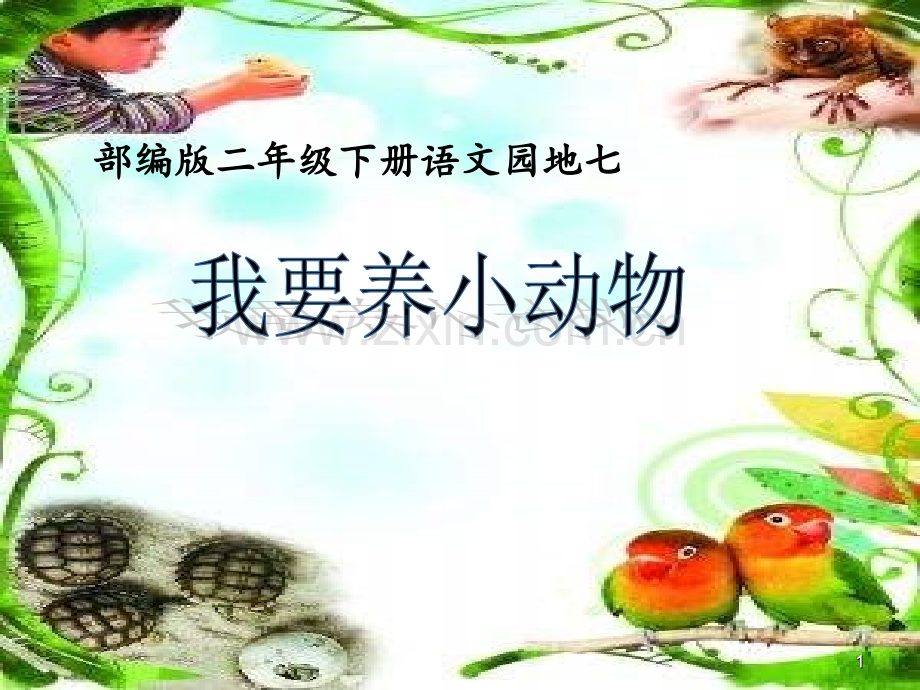 我要养小动物.ppt_第1页