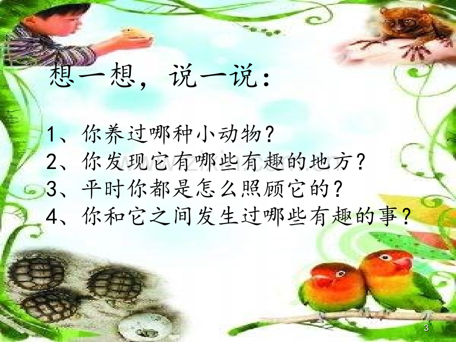 我要养小动物.ppt_第3页