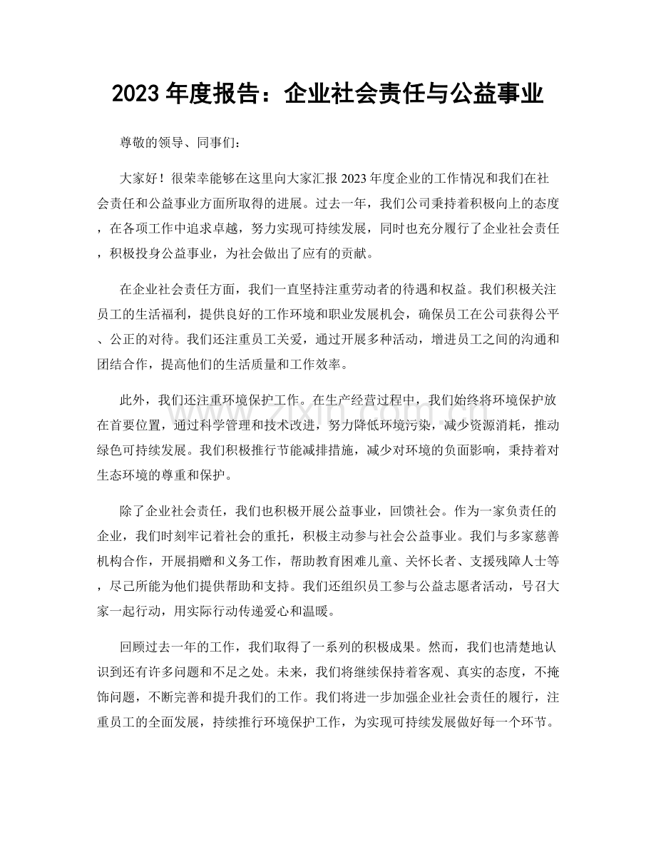 2023年度报告：企业社会责任与公益事业.docx_第1页