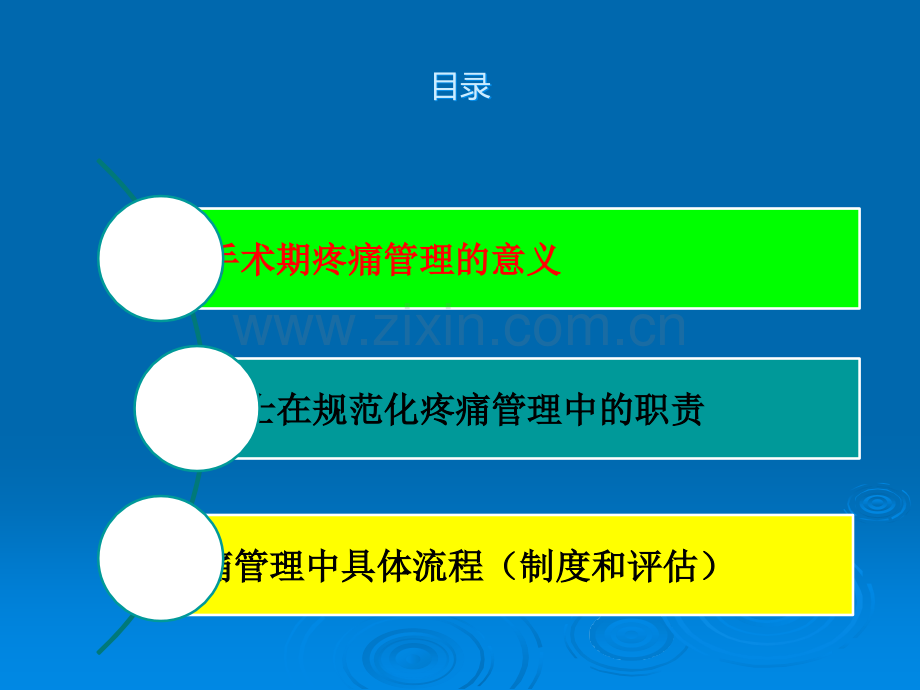 护士在规范化疼痛管理体系中的作用-原稿.ppt_第2页