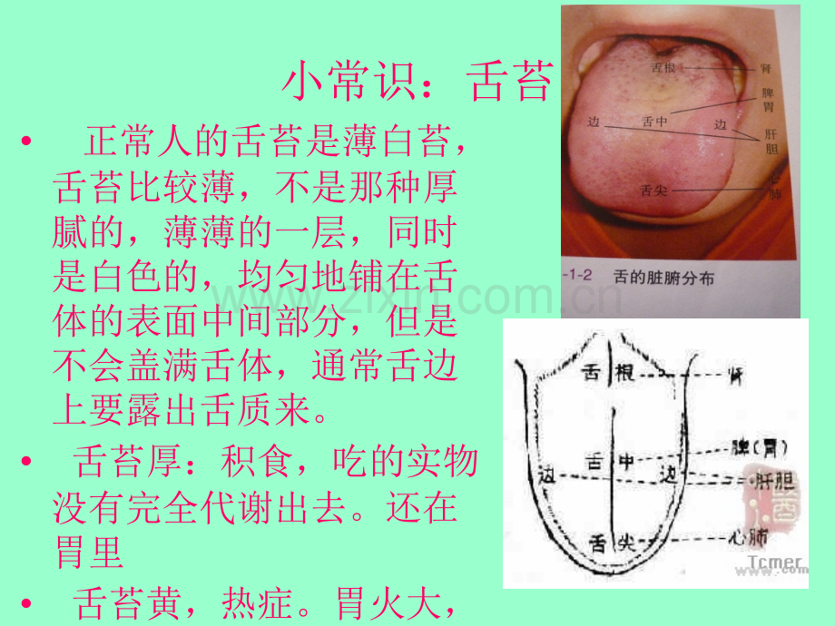 妈妈班小儿推拿健康讲座ppt课件.ppt_第3页