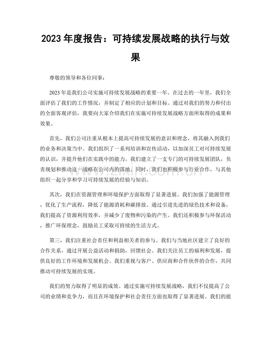 2023年度报告：可持续发展战略的执行与效果.docx_第1页