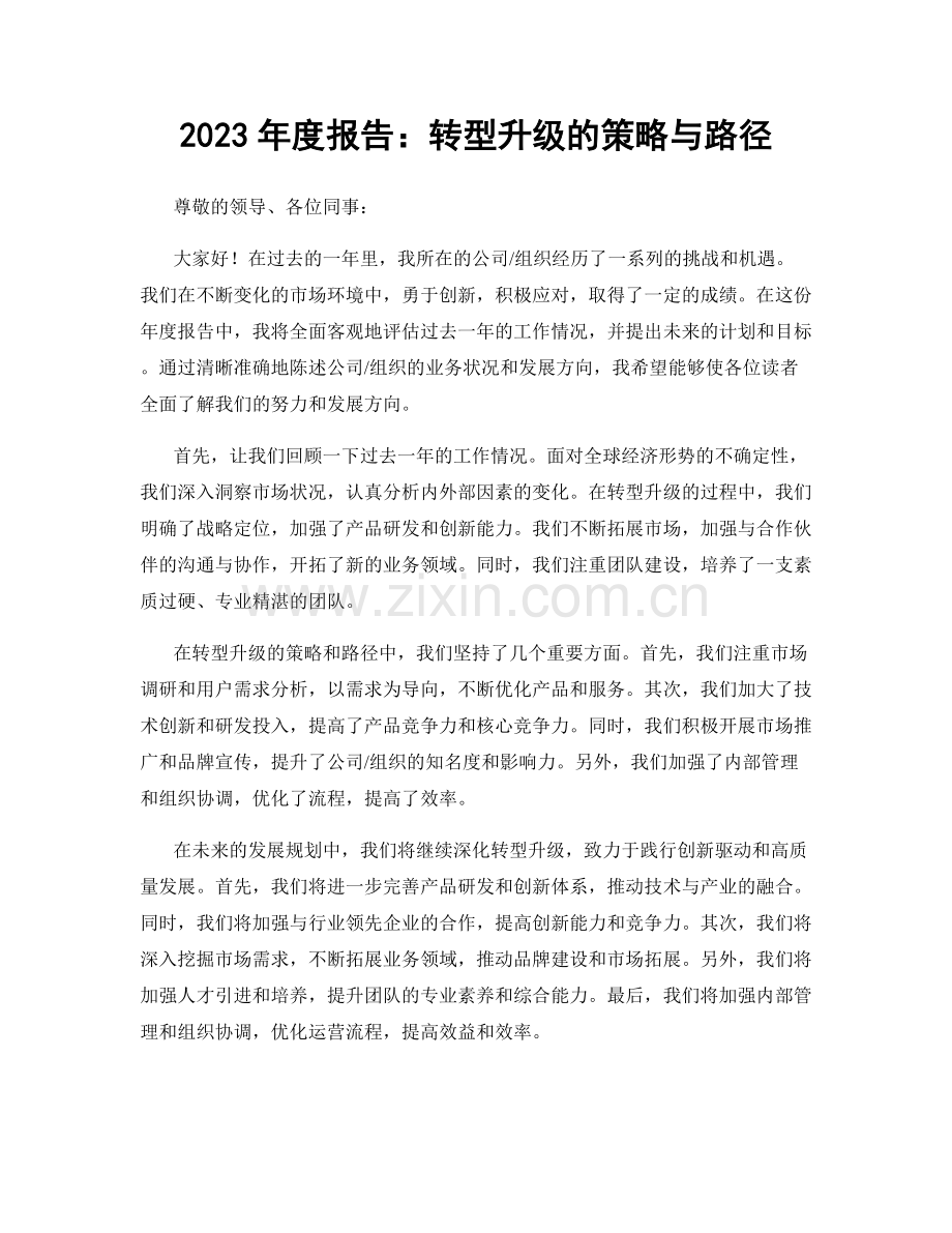 2023年度报告：转型升级的策略与路径.docx_第1页