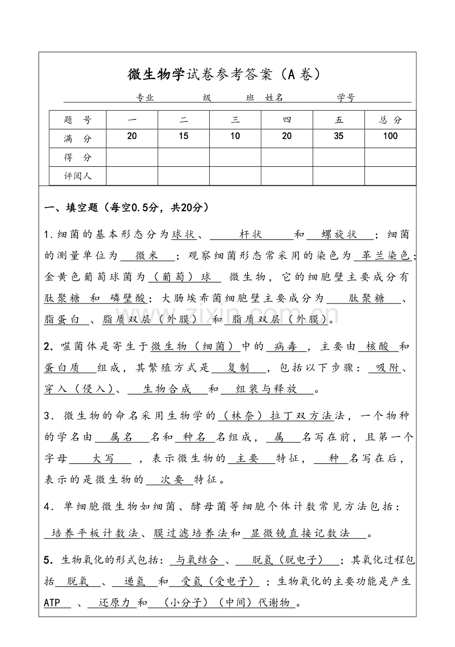 微生物试题及答案.doc_第1页