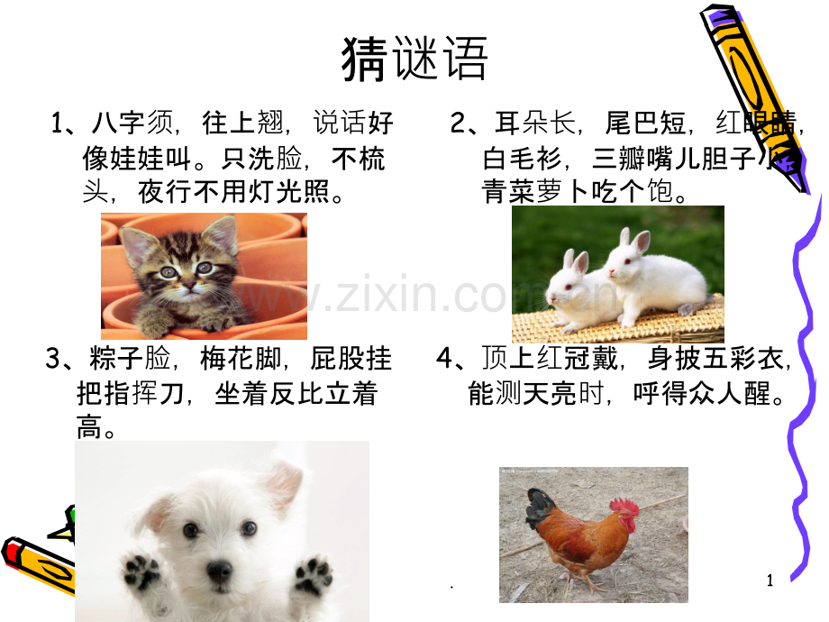 四年级作文《我喜欢的小动物》.ppt_第1页