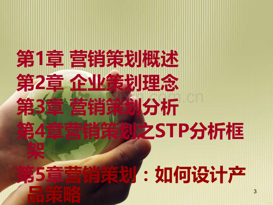 市场营销策划概述理念策划报告.ppt_第3页