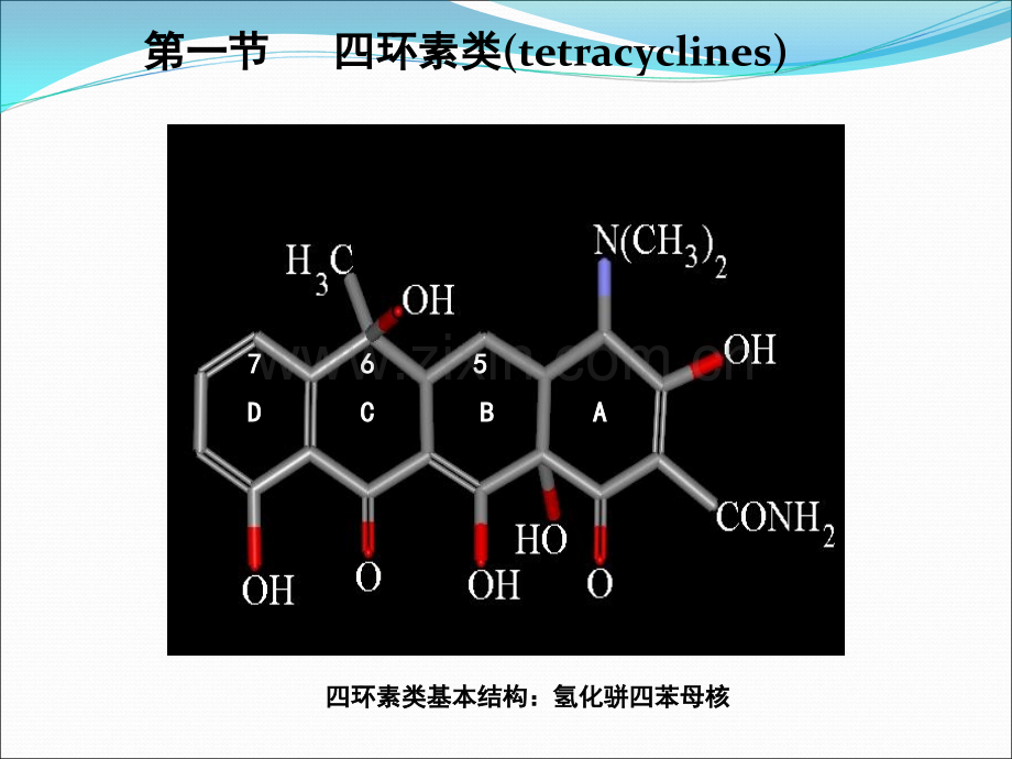 四环素类及氯霉素类抗生素-.ppt_第3页