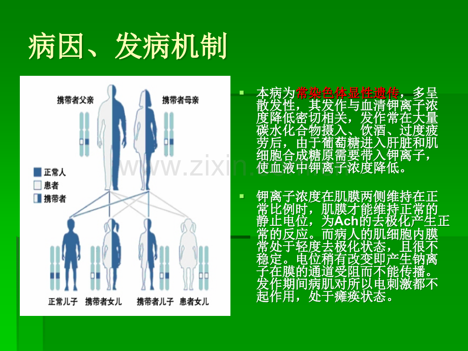 护理查房.低钾周麻.ppt_第3页