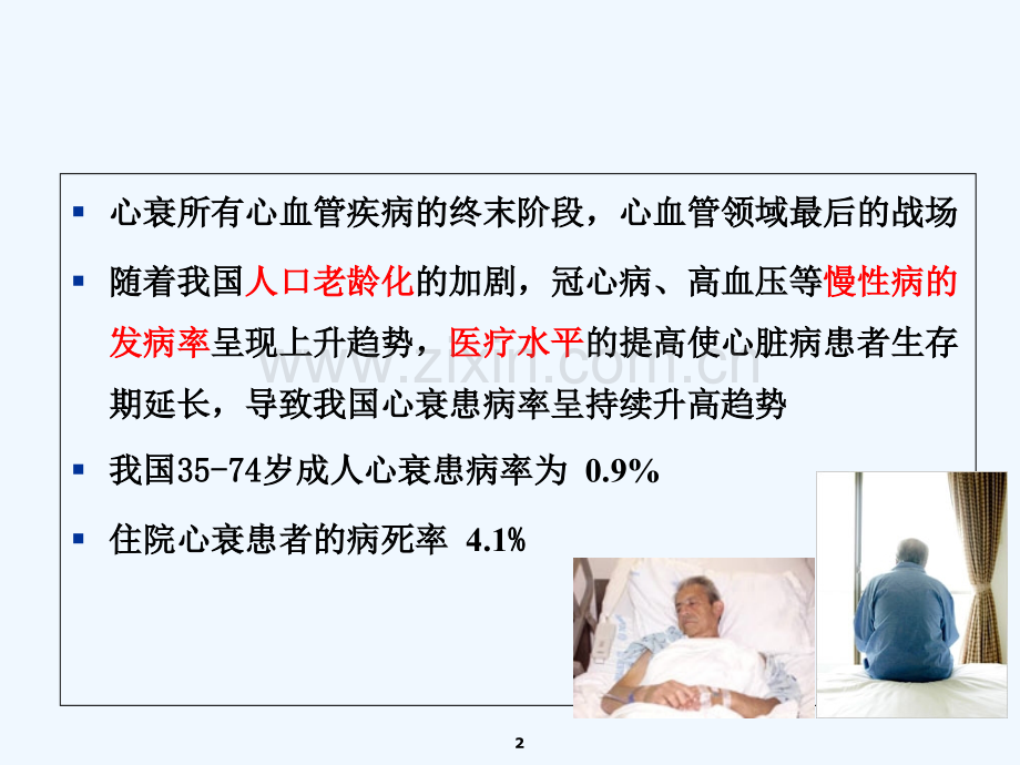 心衰及护理.ppt_第2页