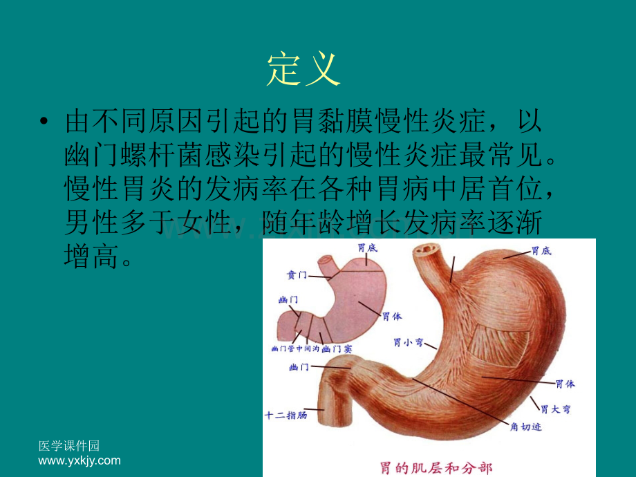 慢性胃炎患者的护理内容PPTppt课件.ppt_第3页