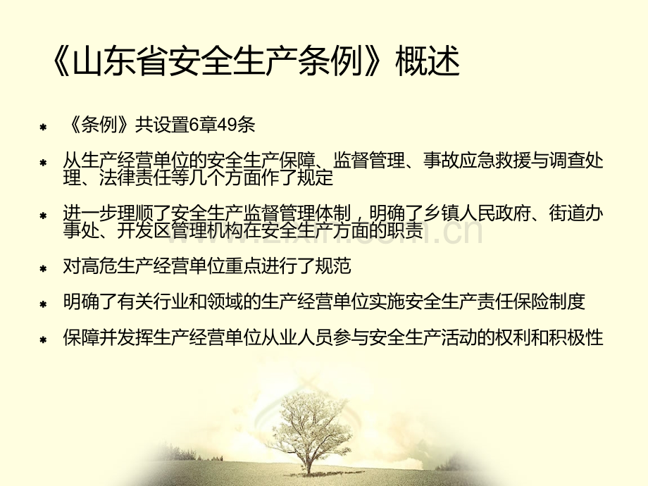 山东省安全生产条例培训课件.ppt_第3页