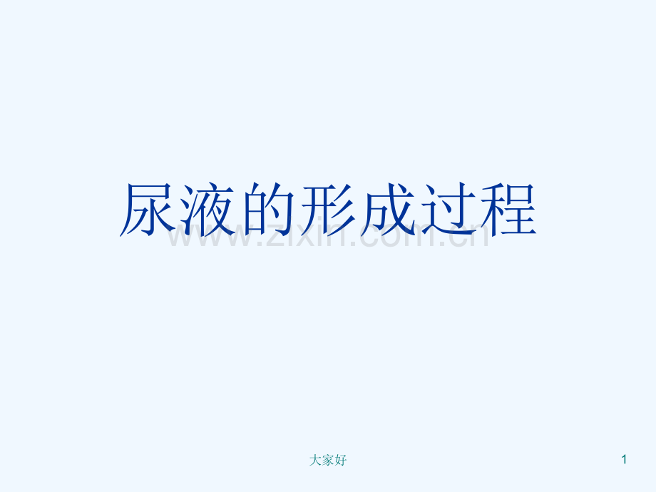 尿液的形成过程.ppt_第1页