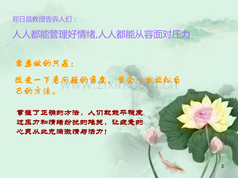 情绪与压力.ppt_第3页