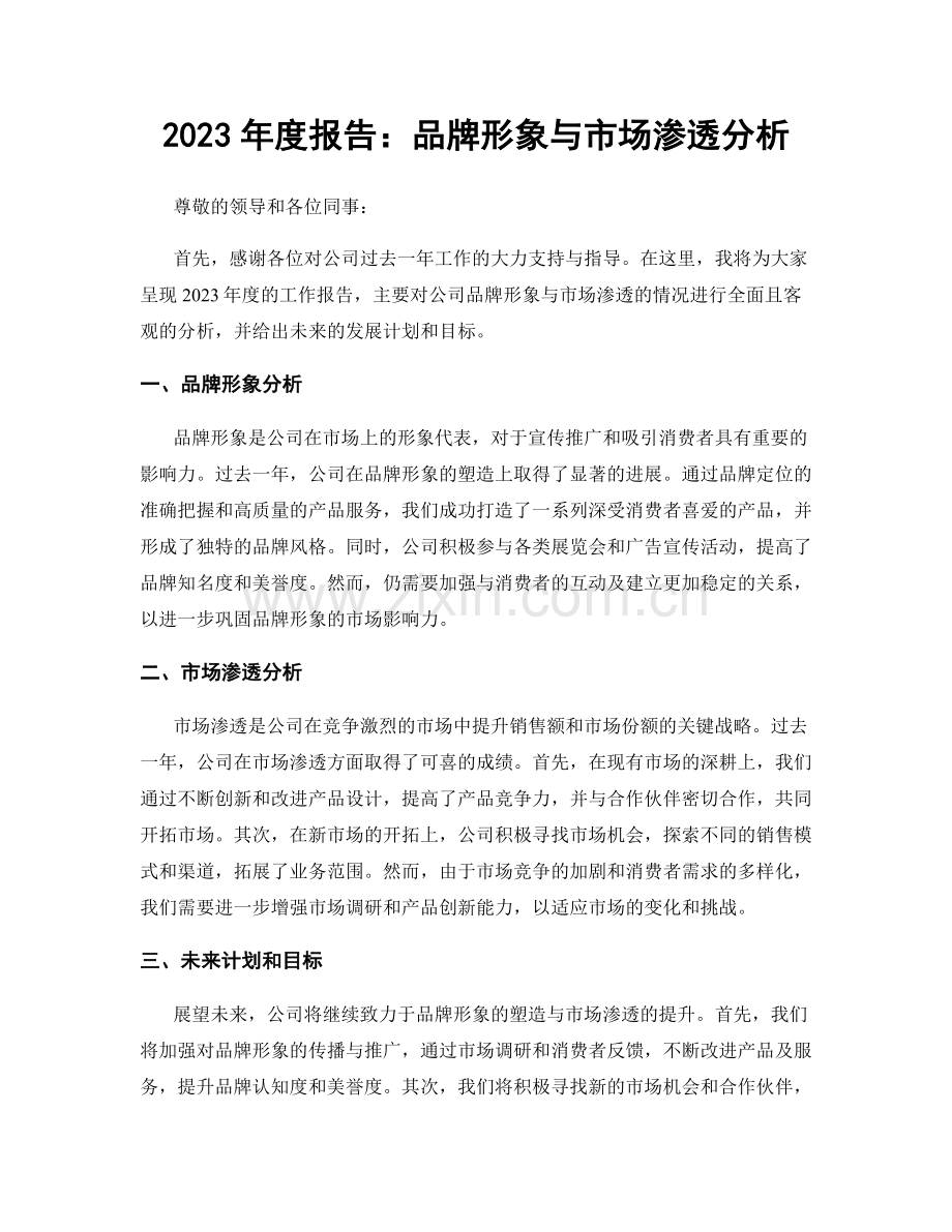 2023年度报告：品牌形象与市场渗透分析.docx_第1页