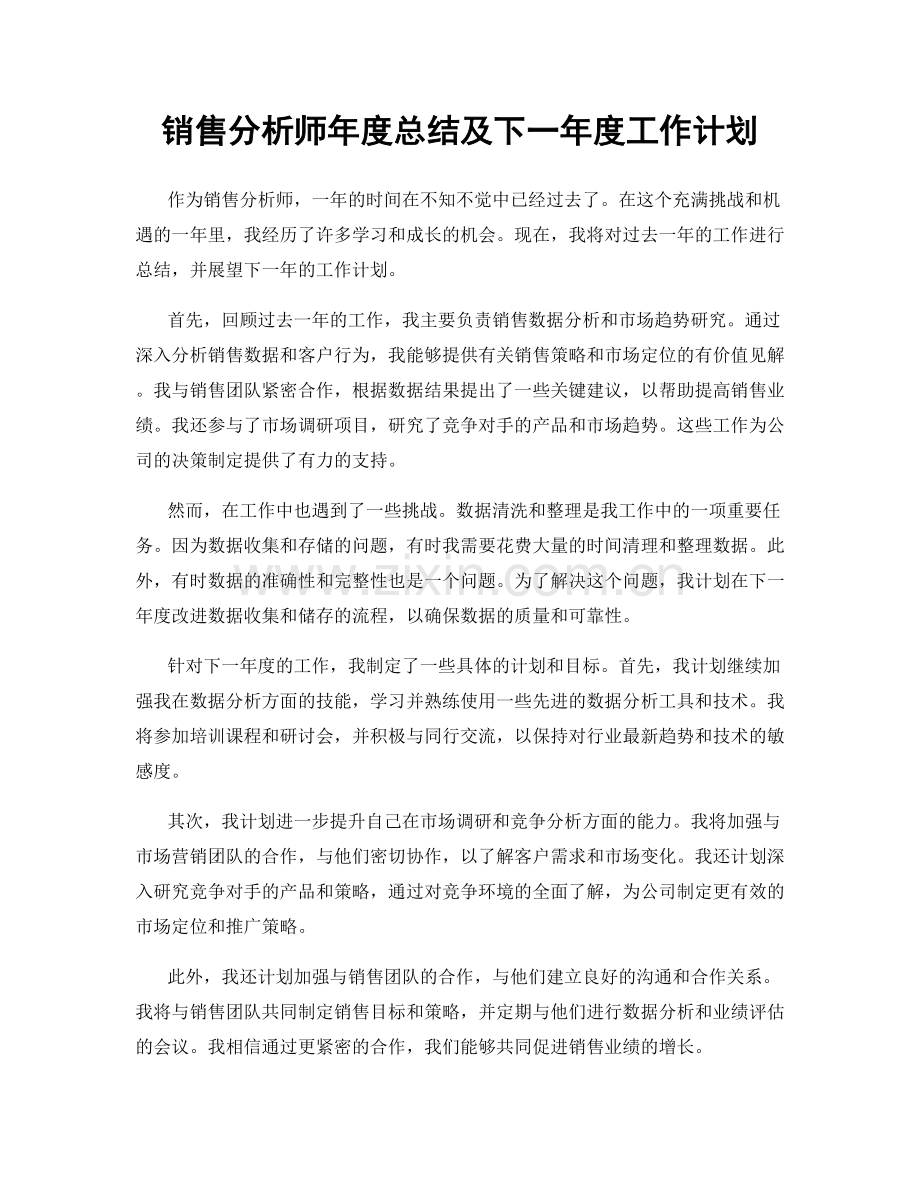 销售分析师年度总结及下一年度工作计划.docx_第1页