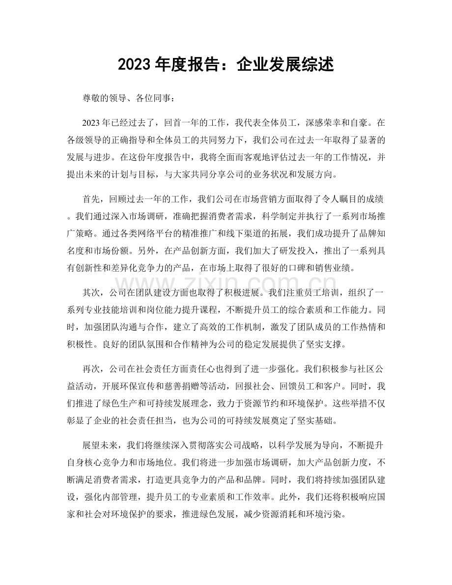 2023年度报告：企业发展综述.docx_第1页