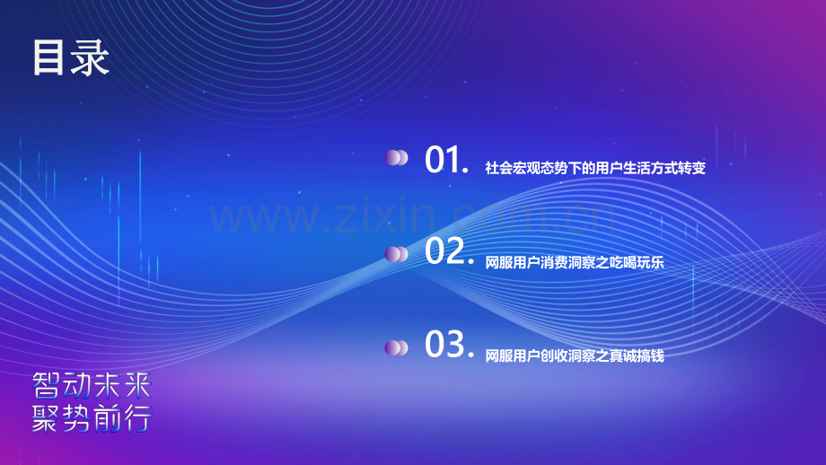 2021年360网服行业用户洞察研究报告.pdf_第2页