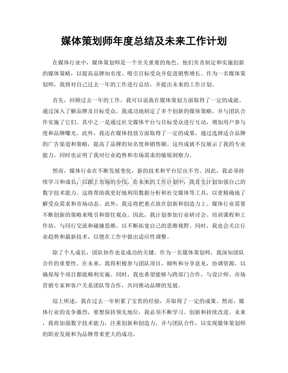 媒体策划师年度总结及未来工作计划.docx_第1页