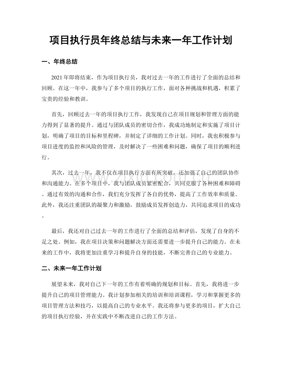 项目执行员年终总结与未来一年工作计划.docx_第1页