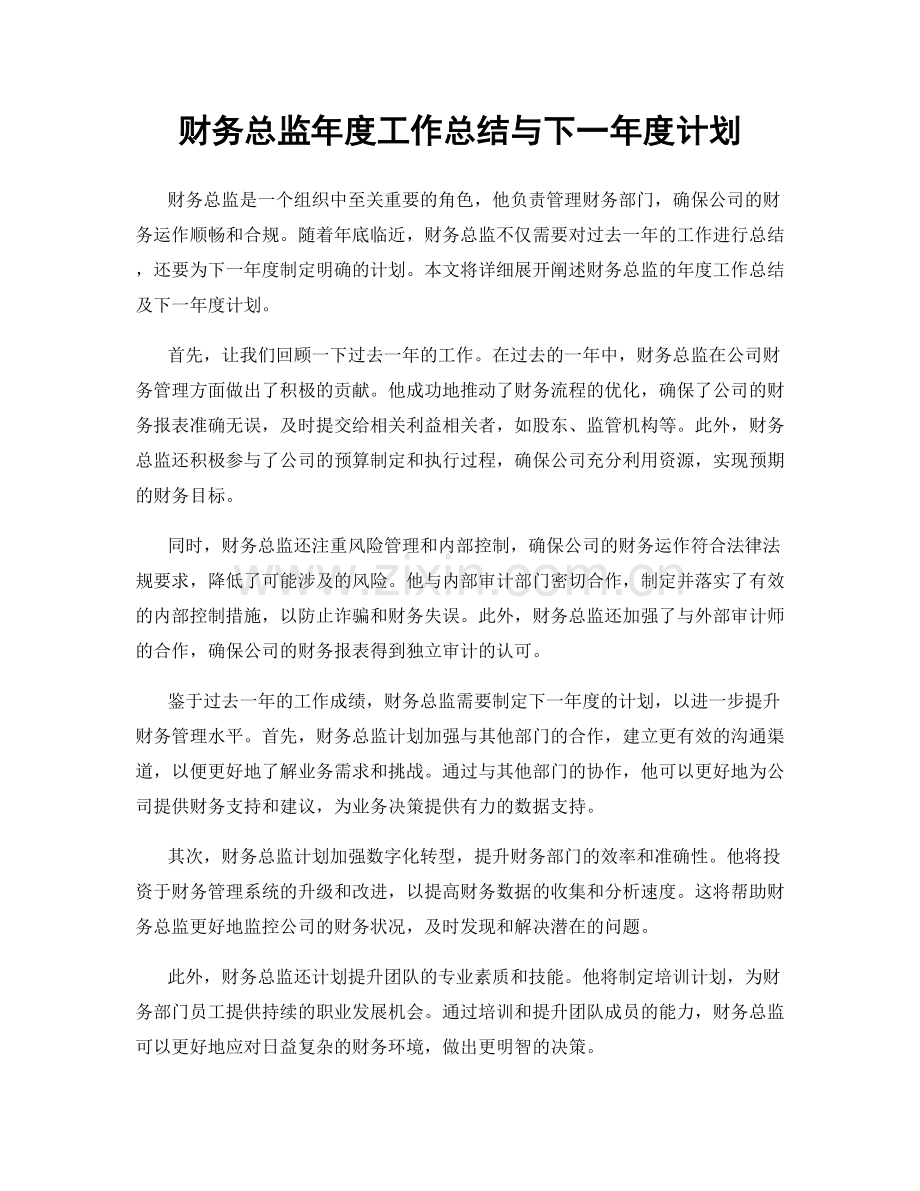 财务总监年度工作总结与下一年度计划.docx_第1页